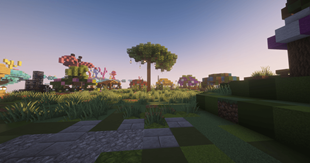 Shop Warp