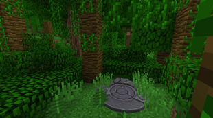 Stone Circle