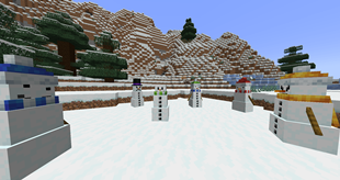 Snow and carrots!