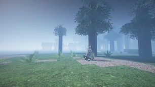 Forest landscapes