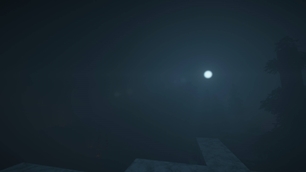 Moonlit night
