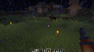 Torches at light level 9