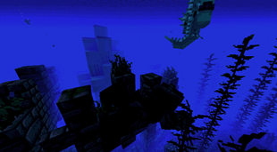 Underwater