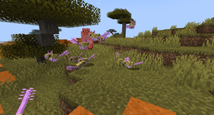 Hopping mice pets attacking sheep