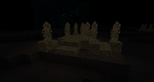 Deep Moss Clump