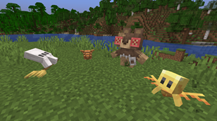 New "Companions"