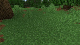 Placing Leaf Litter
