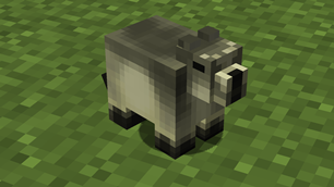 Alpine Marmot