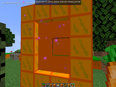 carrot portal