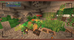 Garden Camera Motive.png
