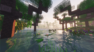 Rainforest Basin.png