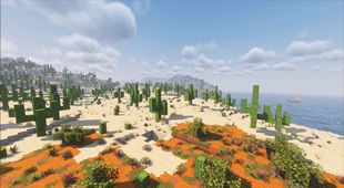 Saguaro Jungles.png