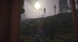 Dangers of the Forest