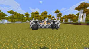 show1.png