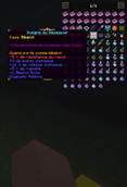 Trad FR Enigmatic Addons
