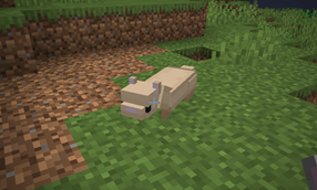 Screenshot 2025-12-14 114533.png