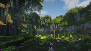 Overhauled Mangrove