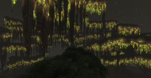 Sky Islands Above the Sea