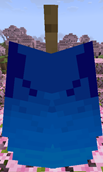 elytra