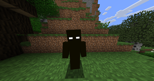 With resource pack
