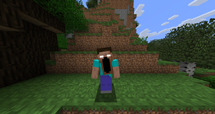 Without resource pack