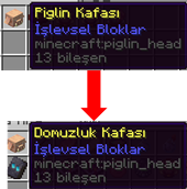 Translation