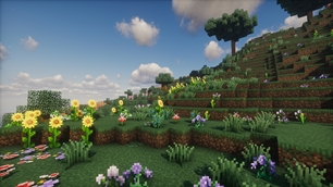 HyCraft