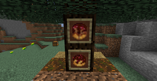 The Experiment and it's altered version