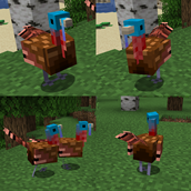 Turkeys