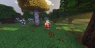 Screenshot 16