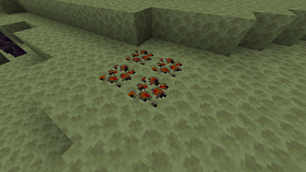 The Void ore