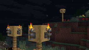 Some torches in a village!