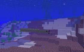 Eel