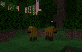 Maned Wolves