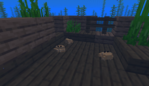 Box Crabs