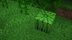 And a new Melon texture!