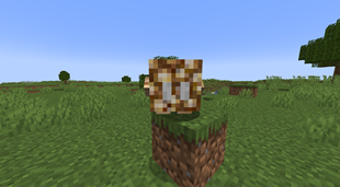 glow stone.png
