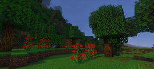 Screenshot 21