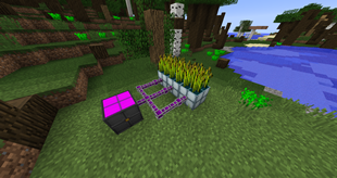 Powered Soil