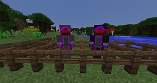 Cosmic Lords