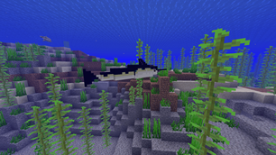 A Swordfish!