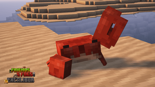 Welcome to my Showcase!