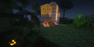 Screenshot 2025-12-18 165922.jpg