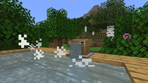 Hot Spring / Onsen