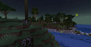 Shoreline