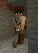 coach gun