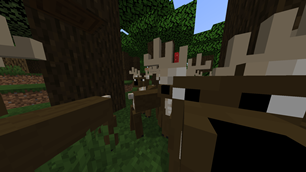 forestdeer