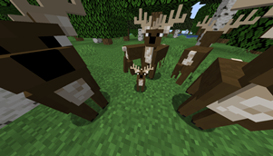 babydeer