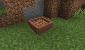 The plant box