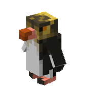 Yellow Eye Penguin